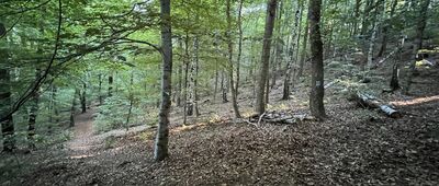Skrzyżowanie szlaków niebieski / zielony