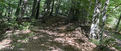 Niedźwiadki, rozejście