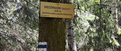 Niedźwiadki
