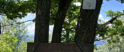 Wołowiec