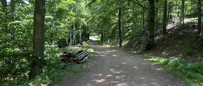 Przełęcz Kozia, rozejście szlaków