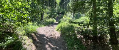 Przełęcz Kozia