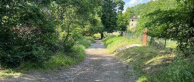 Rozdroże Czarne ↔ Wałbrzych, Podgórze