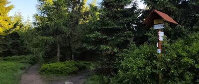 Rozdroże pod Zwaliskiem