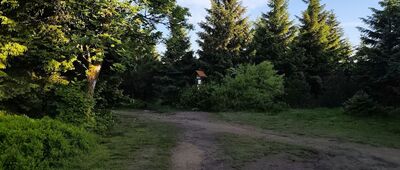Rozdroże pod Zwaliskiem