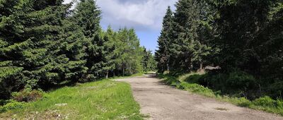 Kapliczka Matki Boskiej Izerskiej