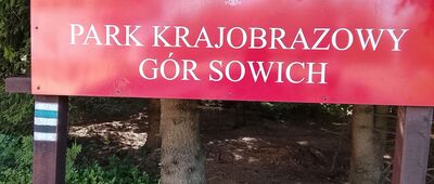 Wielka Sowa