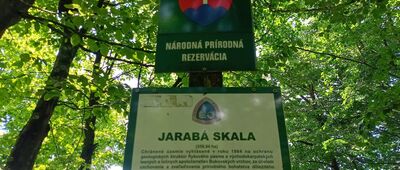 Pod Rabią Skałą ↔ Przełęcz pod Borsukiem