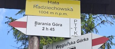Hala Radziechowska