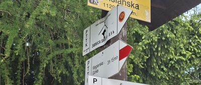 Magurka Wiślańska