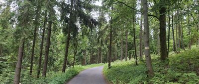 Kobyla Sałasz ↔ Pod Małym Stożkiem