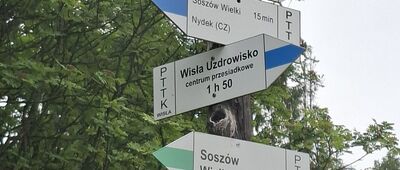 Schronisko na Soszowie