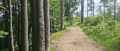Schronisko PTTK na Stożku ↔ Pod Kyrkawicą