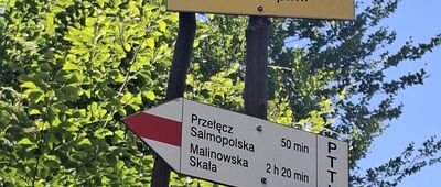 Kotarz