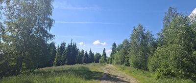 Grabowa, odejście szlaku spacerowego ↔ Grabowa, Ogród Bajek