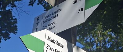Stary Groń