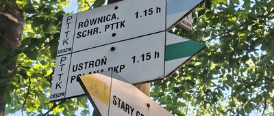Orłowa, osada