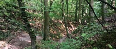 Wąwóz Półrzeczki ↔ Baczyn, rozejście szlaków