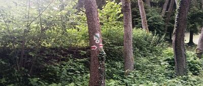 Skałka, Rezerwat Zimny Dół