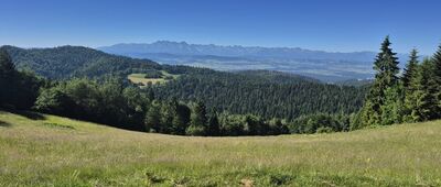 Polana Sucha ↔ Ochotnica Górna, Ustrzyk [Tatry z polany pod Lipowcem]