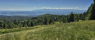 Kiczora ↔ Rąbaniska [Polana Zielenica. Tatry w tle]
