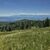 Polana Zielenica. Tatry w tle