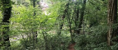 Skałka, Rezerwat Zimny Dół ↔ Rezerwat Zimny Dół