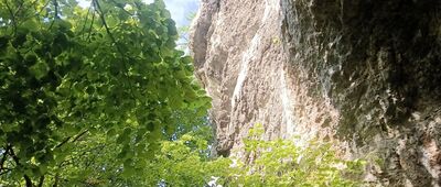 Rezerwat Zimny Dół, jaskinia ↔ Rezerwat Zimny Dół