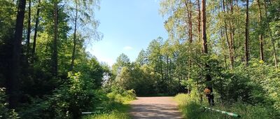 Ciągowice ↔ Łazy