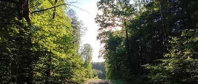 Zazdrość ↔ Ciągowice