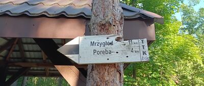 Zazdrość