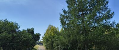 Stare Załucze, rozejście szlaków