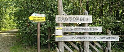 Początek ścieżki "Dąb Dominik", parking