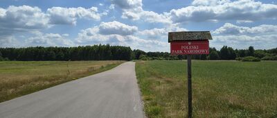 Zawadówka ↔ Rozejście szlaków, wiata turystyczna [Parę lat temu biegła tędy polna droga, na której bociany zjadały zaskrońce]