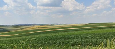 Sobolówka, krzyż ↔ Kopań