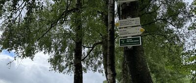 Před Zvětralým vrchem