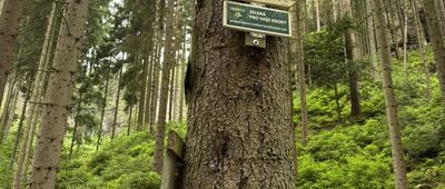 Pod sedmi schody, rozc.