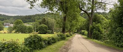 Janovice u Trutnova, železniční stanice