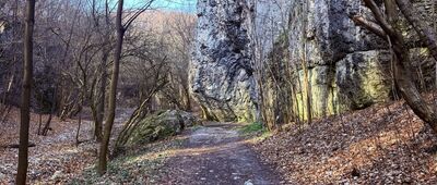 Będkowice ↔ Brama Będkowska