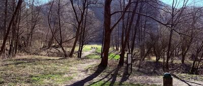 Brama Będkowska