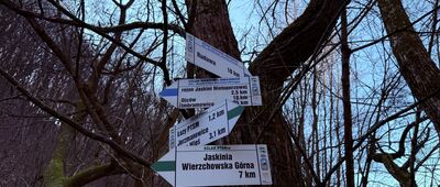 Dolina Będkowska, skrzyżowanie szlaków