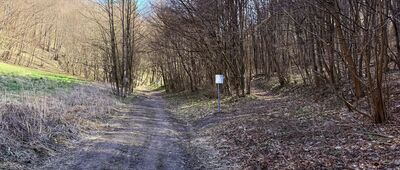Dolina Będkowska, odejście szlaku zielonego