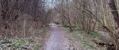 Bolechowice, rozejście szlaków ↔ Będkowice