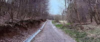 Bolechowice, rozejście szlaków ↔ Będkowice