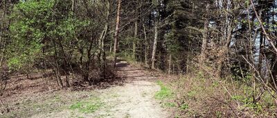 Przełęcz Czesława Panczakiewicza