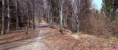 Przełęcz pod Gancarzem