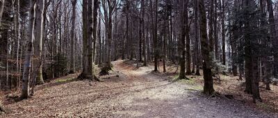 Przełęcz pod Gancarzem