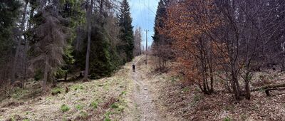 Polana Beskid