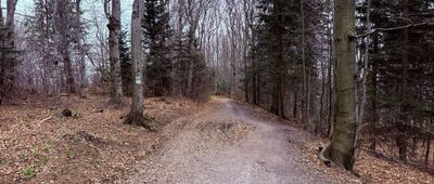 (Była) Polana Beskid ↔ Skrzyżowanie przy schronisku Leskowiec