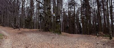 (Była) Polana Beskid
